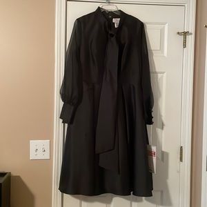 Zip up dress, sheer long sleeves